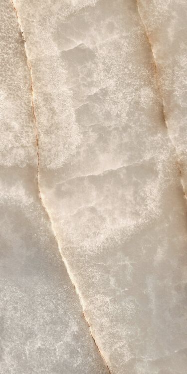 Reves Noisette Glossy 12 x 24